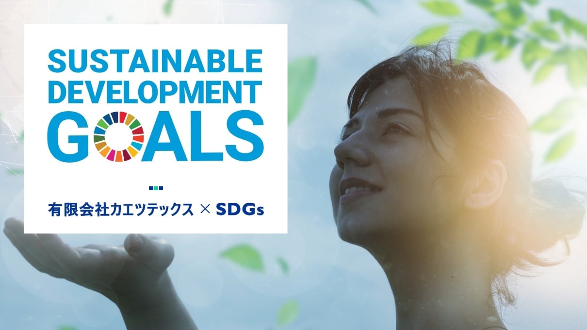 Sustainable Development Goals